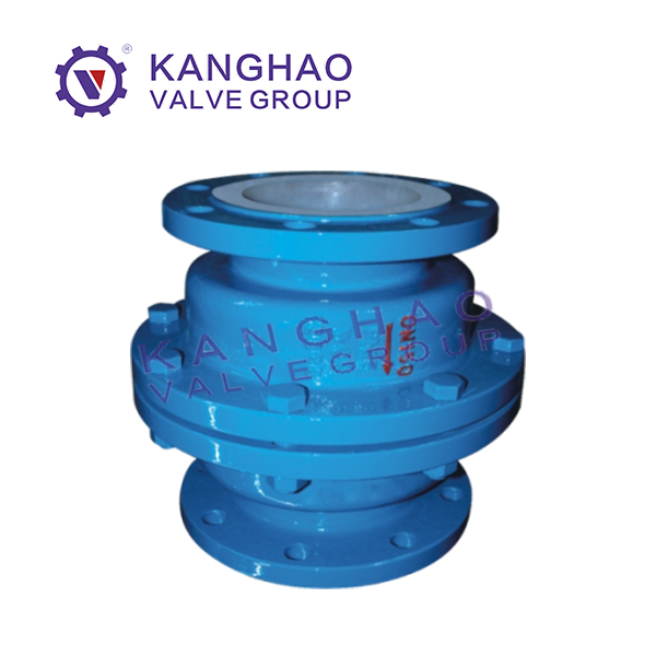 Fluorine lined check valve