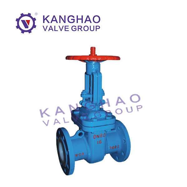 Lined krypton gate valve