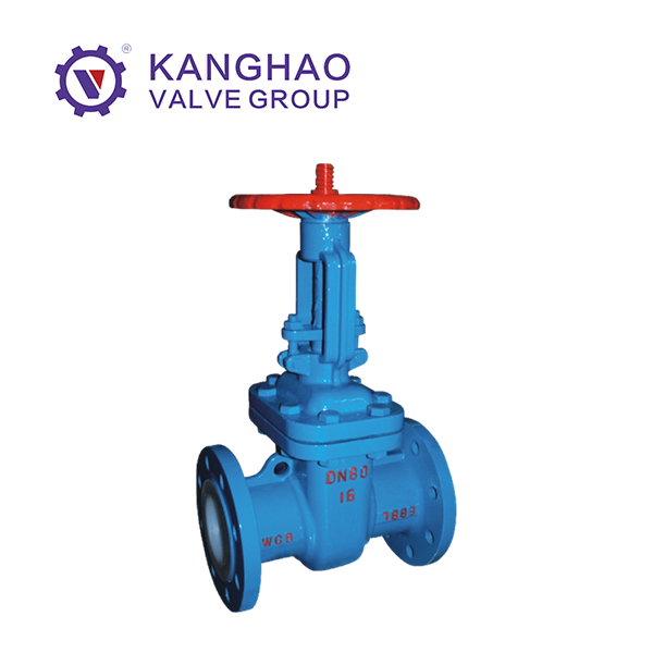 Lined krypton gate valve