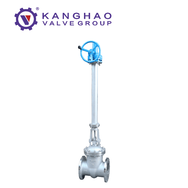 Turbine extension rod flange gate valve