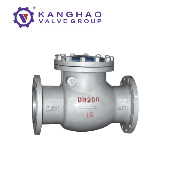 National standard swing check valve